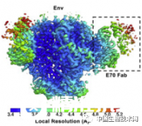 Immunity：实验性HIV疫苗的里程碑