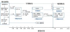 梅毒检测方法多，如何“扬长避短”？