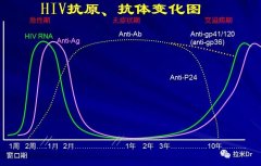 病载检测不到，是否高枕无忧？