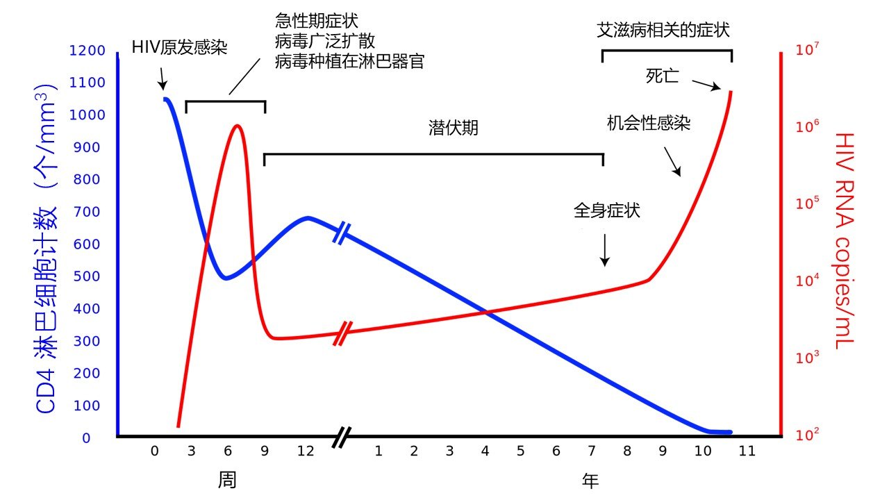 真相：> 艾滋病科普知识系列之：艾滋病的自然病程