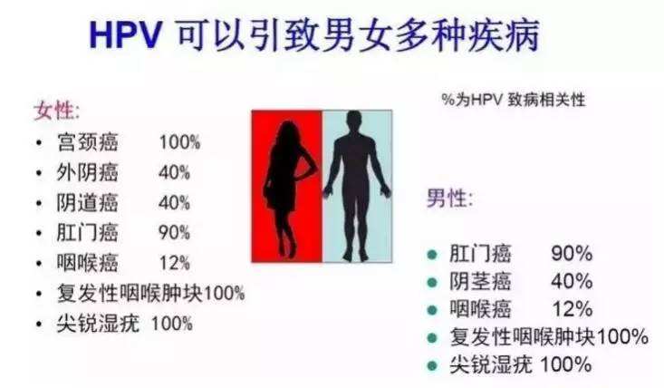 尖锐湿疣患者