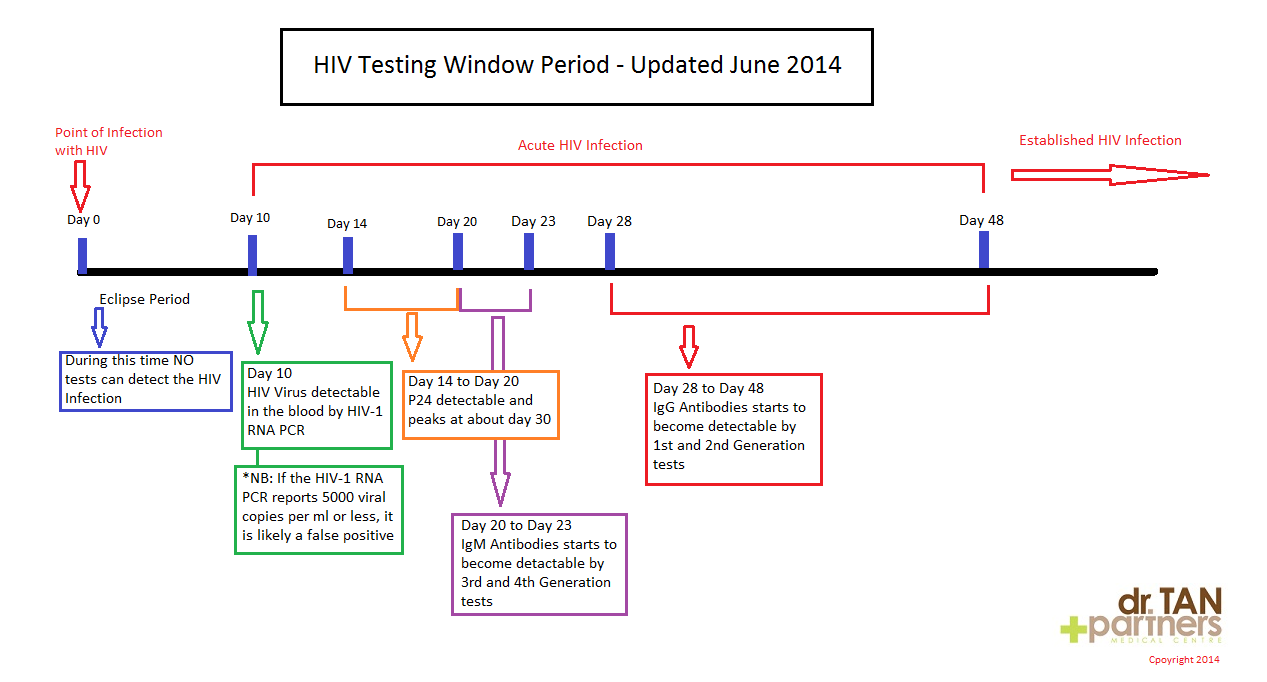 HIV-WIndow-Period.png