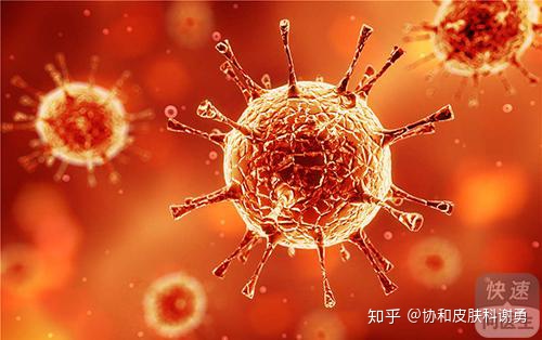 协和谢勇：宫颈尖锐湿疣是怎么得的