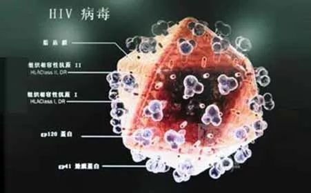 艾滋病感染者