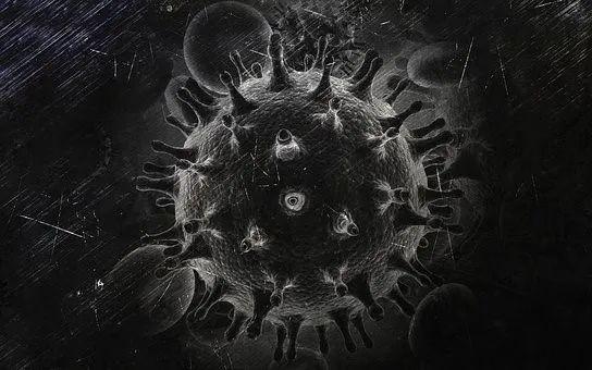 HIV病毒 图源：pixabay