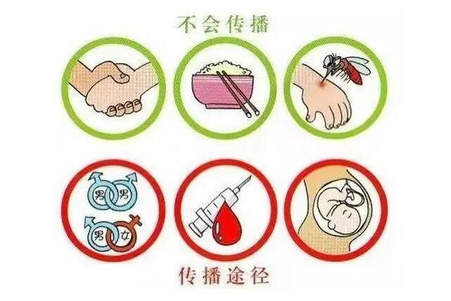 hiv病毒