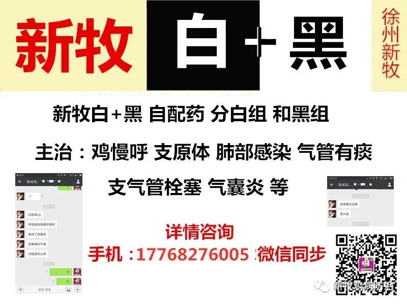 鸡支原体感染症状图片，鸡支原体用什么药最好，怎样预防鸡支原体感染？