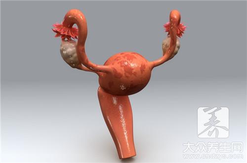 宫颈尖锐湿有哪些症状