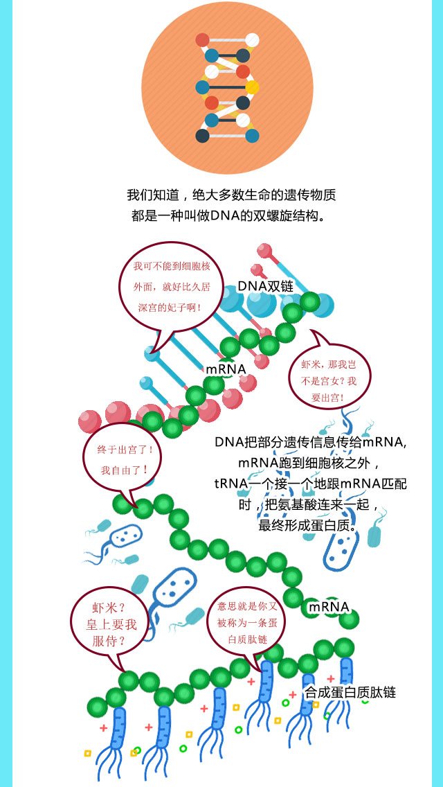 艾滋病病毒比新冠病毒更狡猾？张文宏这个解释，或许这张图更明白