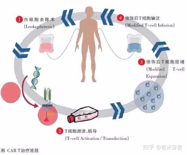 hiv病毒