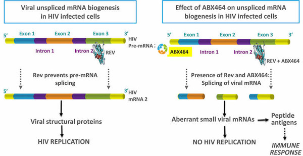 2020年治愈艾滋病？细数4类最具潜力的HIV疗法