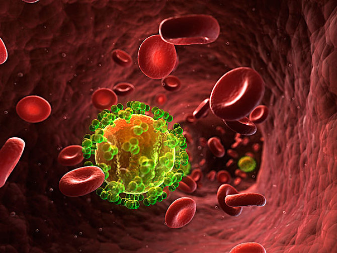 hiv病毒_感染的hiv病毒有耐药株_多大量的hiv病毒会传染