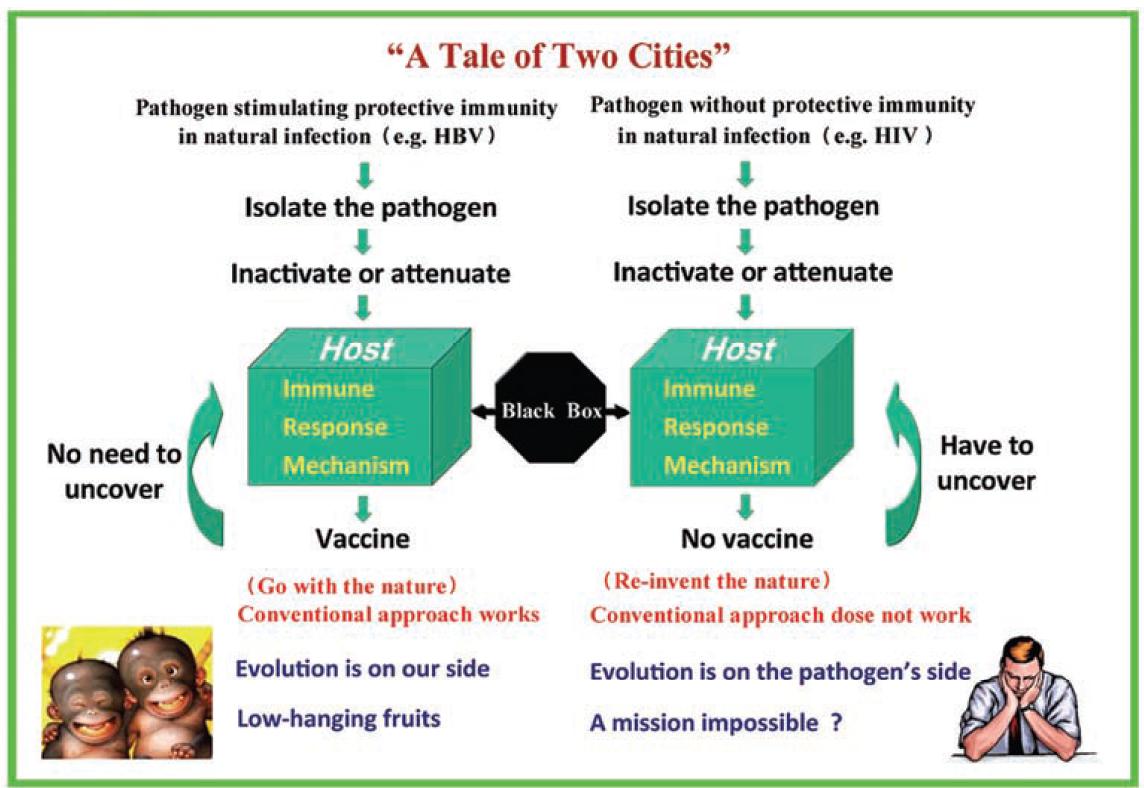 捷报频传！HIV疫苗三期临床即将开始