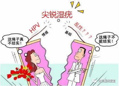 尖锐湿疣病毒