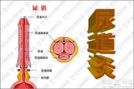 淋病_淋病_非淋病和淋病