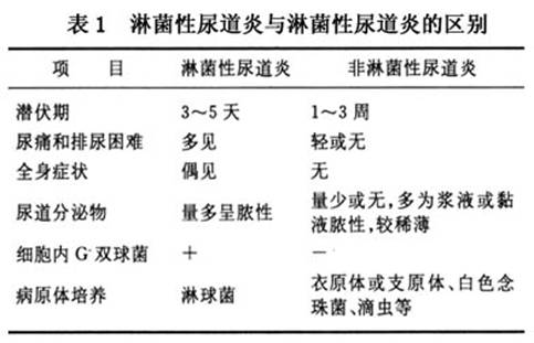 淋病_男性淋病症状_淋病