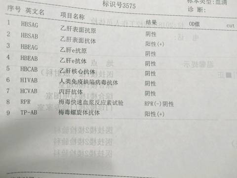 梅毒螺旋体镀银图片