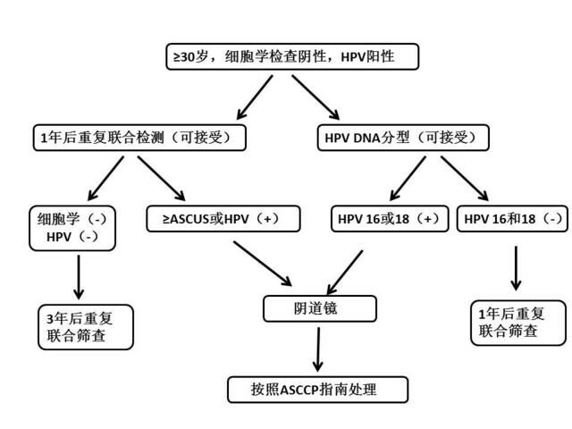 宫颈尖锐湿疣