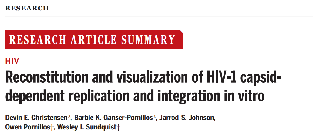 HIV病毒衣壳不仅只有保护作用，更在病毒感染和复制中不可或缺