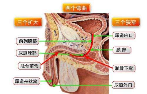 淋病的症状和5个危害要清楚