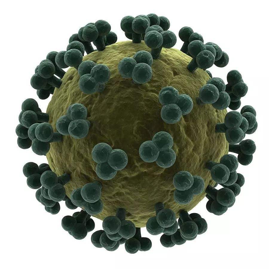 hiv病毒