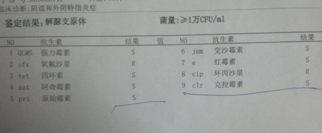 支原体感染症状_衣原体支原体感染_支原体感染