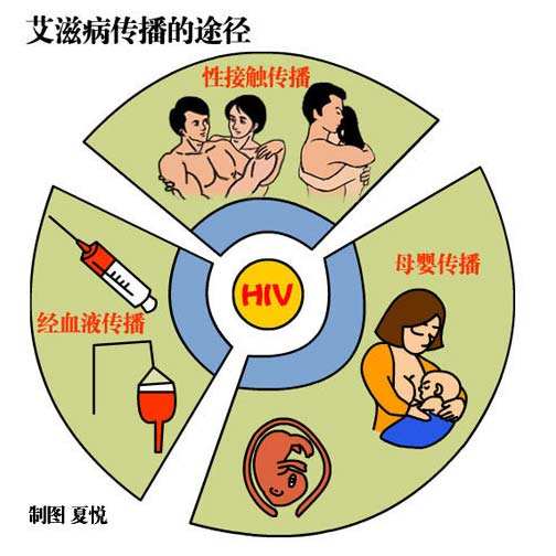 hiv阳性_hiv_hiv是什么