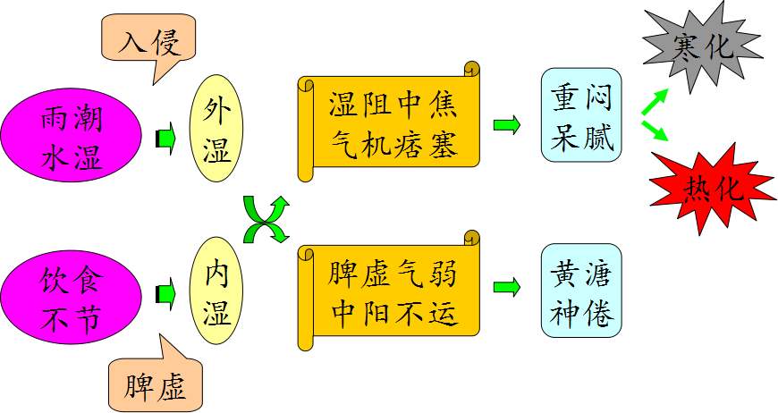 软下疳的病因、症状及诊断检查