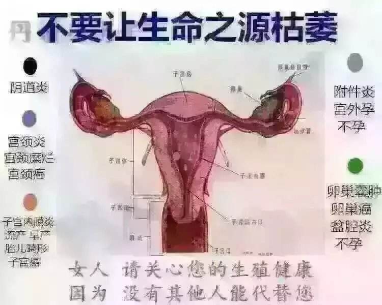 支原体衣原体感染是怎么回事（警惕支原体和衣原体感染）