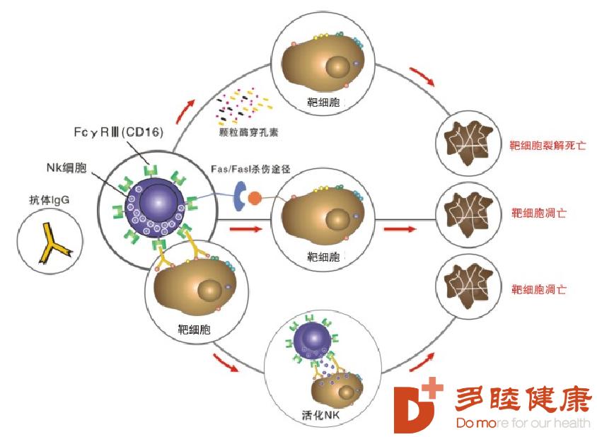 艾滋病毒来自何方_艾滋病毒_接吻艾滋病毒会传染吗