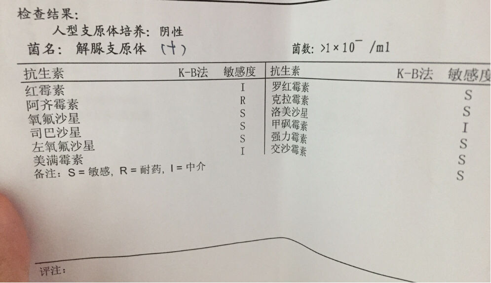 支原体感染_支原体感染_支原体感染是性病