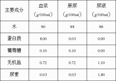 淋病_淋病_淋病 慢性淋病