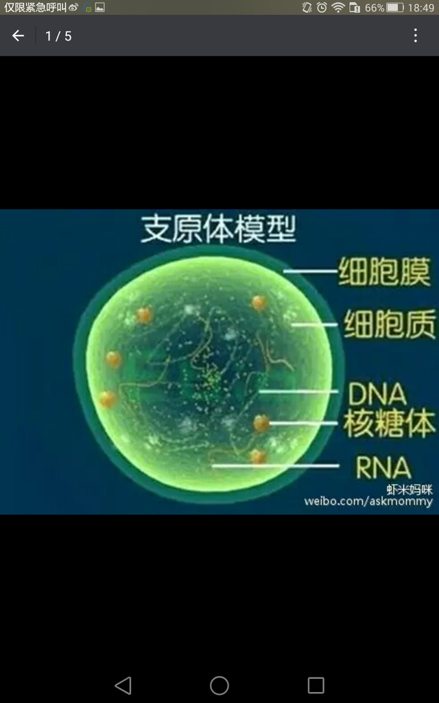 儿科医生妈妈讲解：肺炎支原体感染