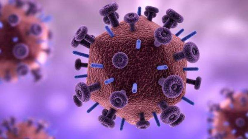 多大量的hiv病毒会传染_hiv病毒_感染的hiv病毒有耐药株