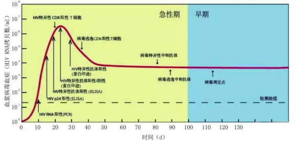 hiv病毒