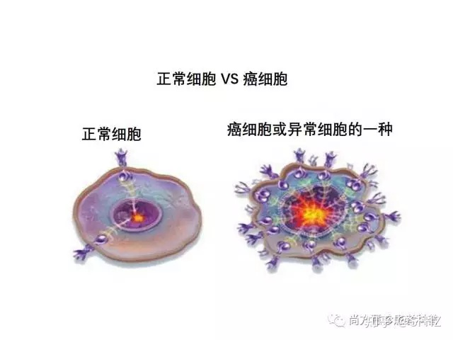 艾滋病毒携带者与艾滋病人的区别