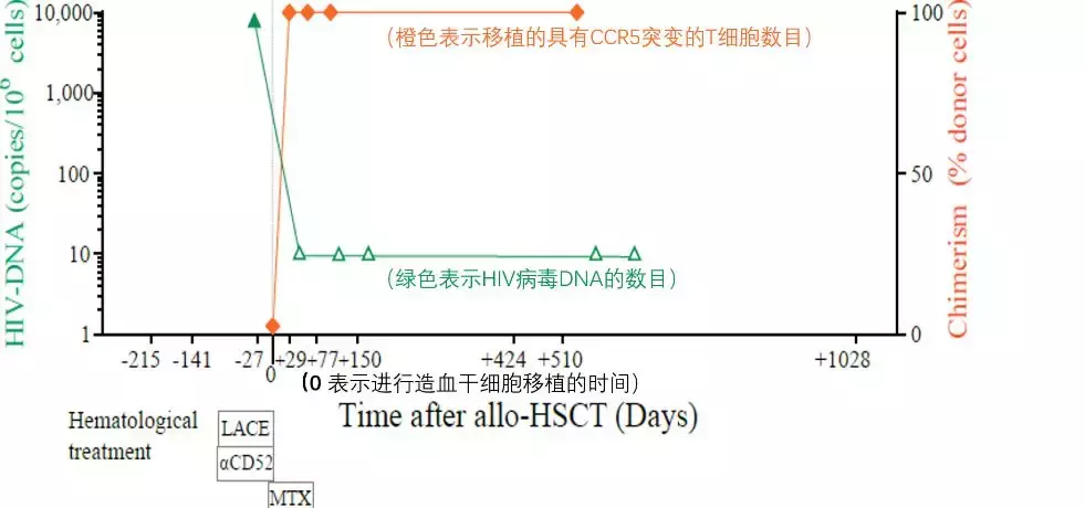 治疗艾滋病的出路在何方？