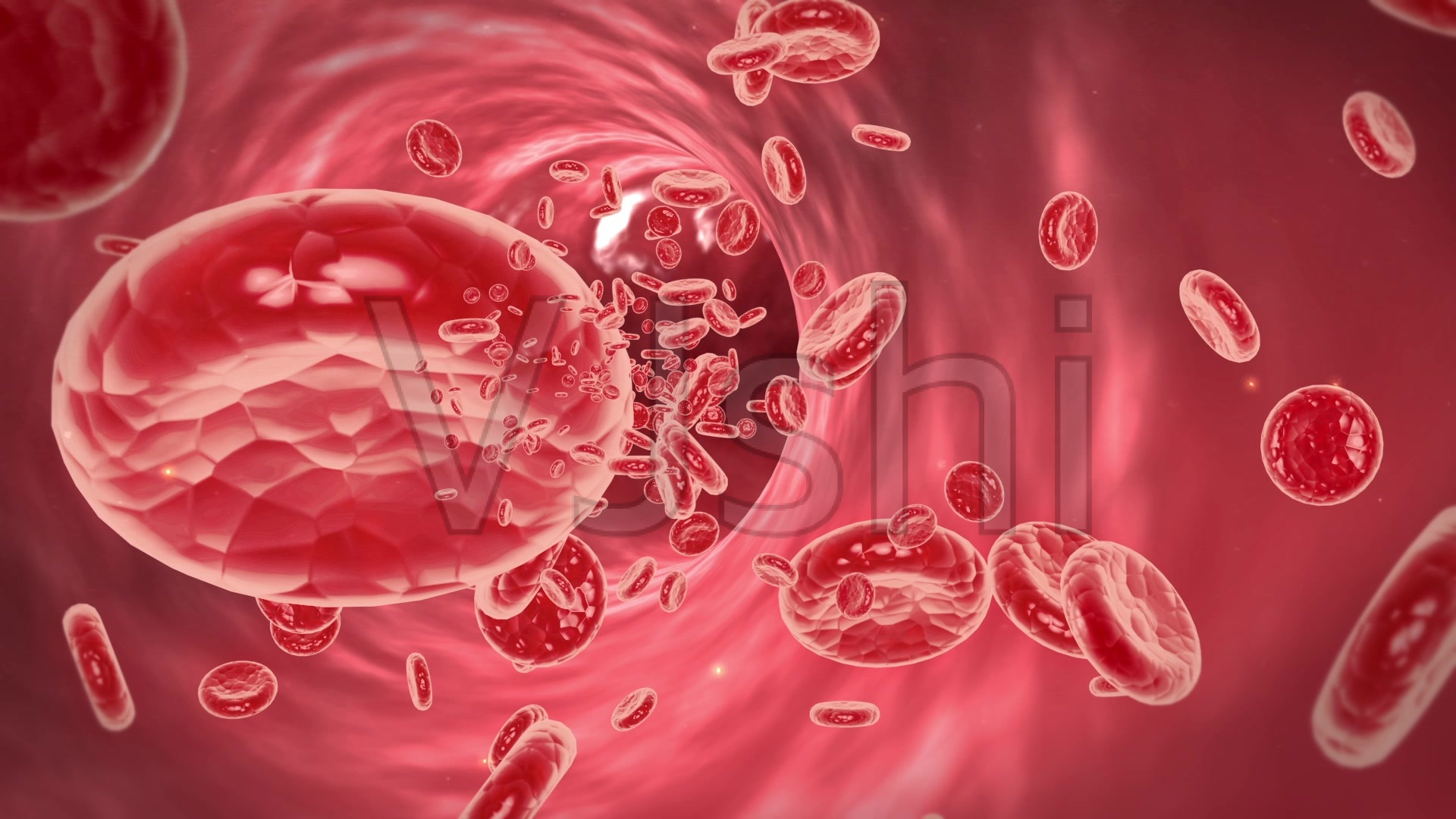 Image wall | Biology of Human/World of Viruses