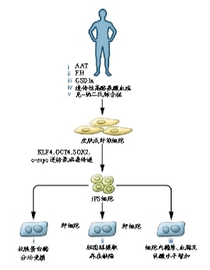 艾滋能不能治愈_艾滋治愈_艾滋病治愈