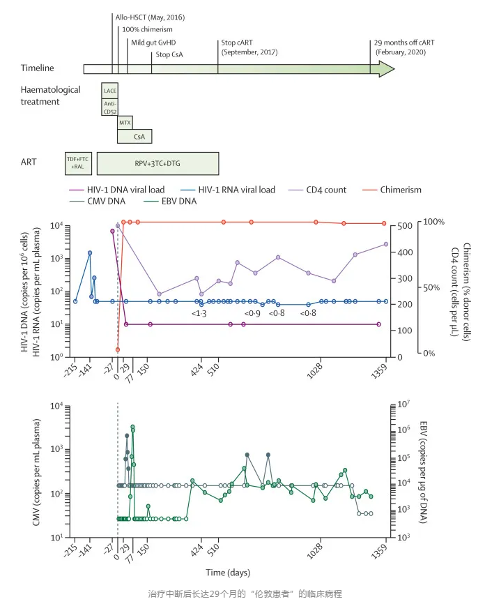 《柳叶刀》发文：全球第二例“艾滋病治愈”案例确认，“伦敦病人”身份公布