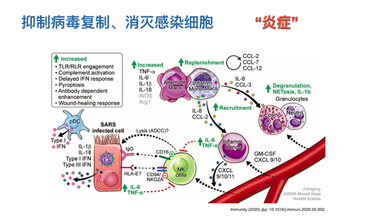 中药杀hiv病毒_hiv病毒_hiv病毒是什么病毒