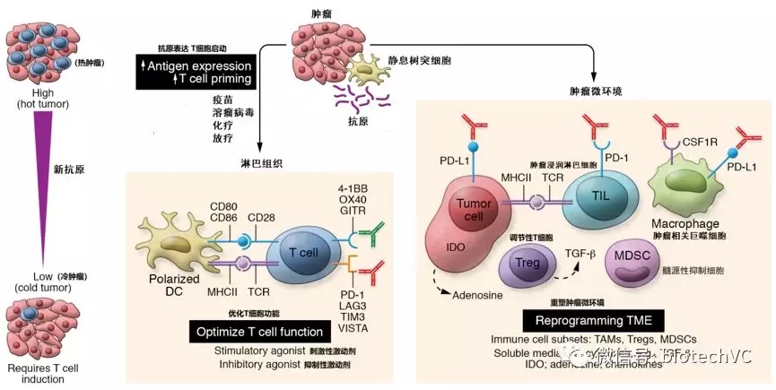 2020年治愈HIV?细数4类最具潜力的HIV疗法