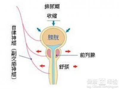 感染支原体衣原体_支原体依原体的感染原因_支原体感染