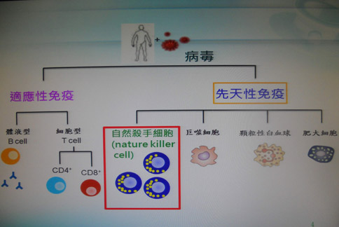 丹麦艾滋治愈15人_艾滋病治愈_艾滋治愈