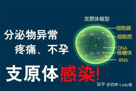 支原体阳性严重吗？备孕期发现支原体感染怎么办？