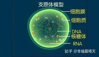 如何预防支原体、衣原体的感染