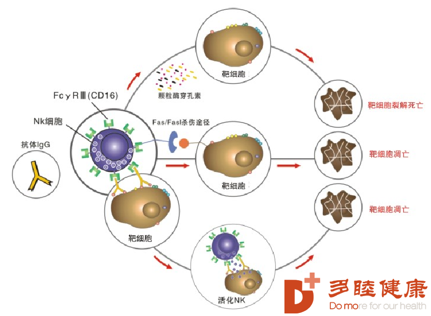 艾滋治愈十一个月一针_艾滋病治愈_艾滋何时治愈