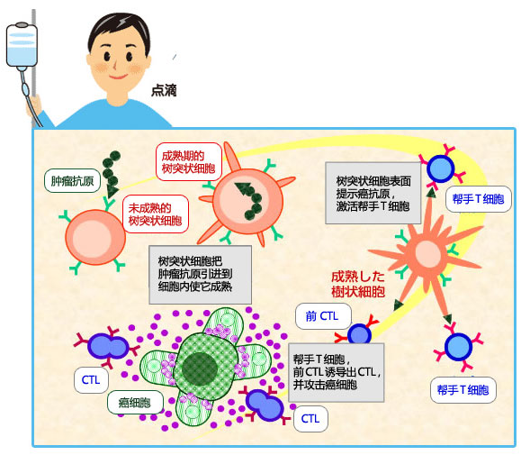 能治愈艾滋病的水果_艾滋何时治愈_艾滋病治愈