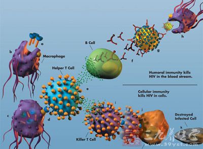 艾滋治愈十一个月一针_艾滋治愈_艾滋病治愈