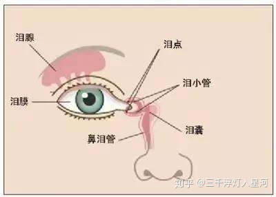 男性淋病有哪些常见的症状表现_寻医问药网性病科频道